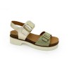 midor-