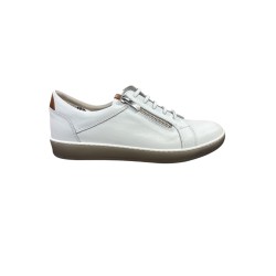 d8225.susu/-
