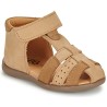 al166 barni